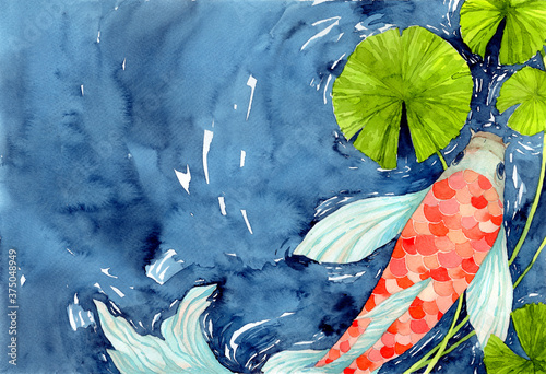 Koi carp fish in a pond, the symbol of good luck and prosperity. Watercolor hand painting illustration.