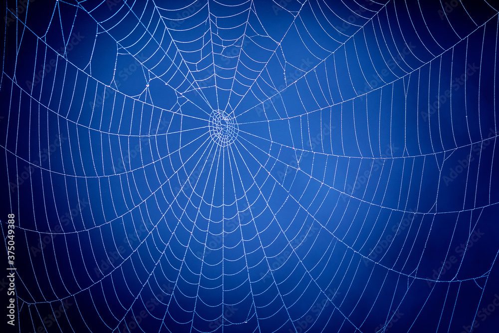 Blue Spider Web. Global communication concept.