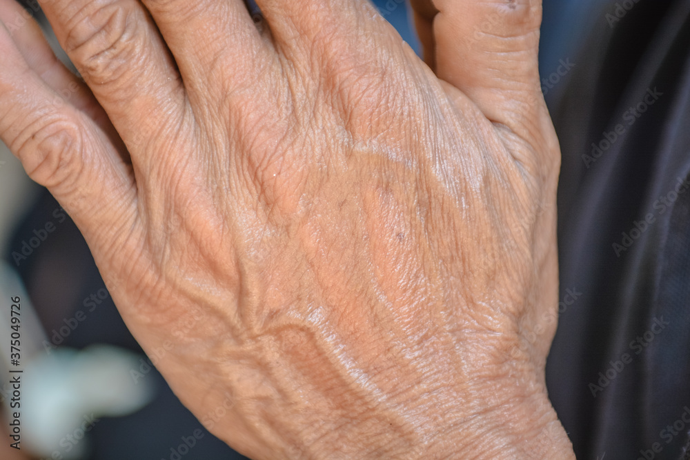 Fototapeta premium Buddhist rituals Shield for the deceased