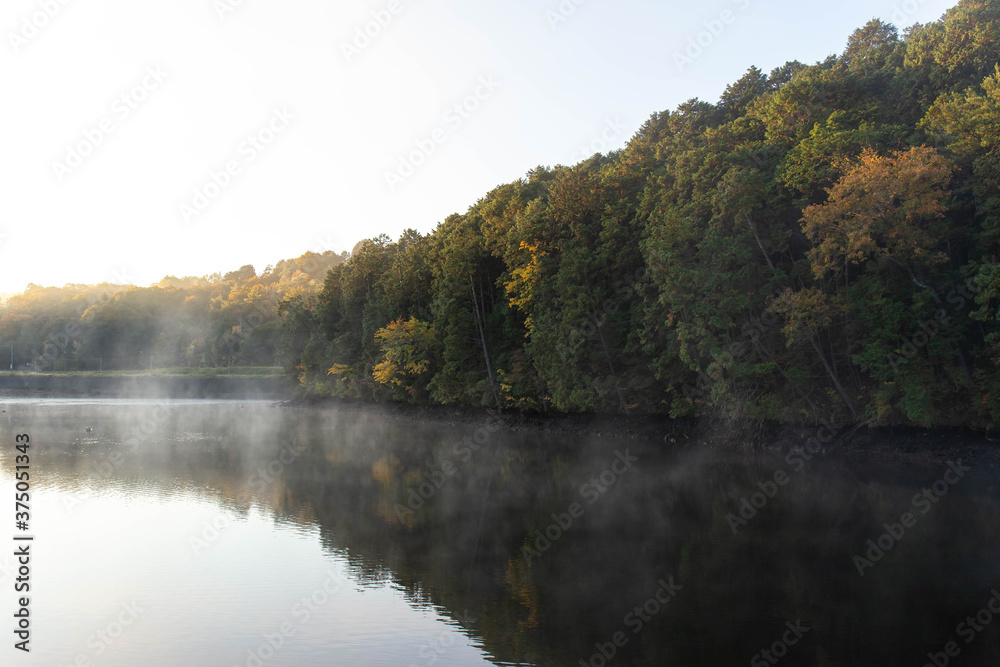 早朝、靄が発生している池