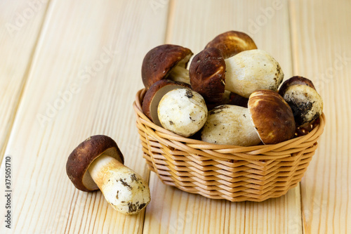Porcini mushrooms in basket on light wooden background