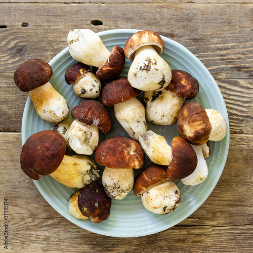 Porcini mushrooms in blue plate on old wooden background, top view