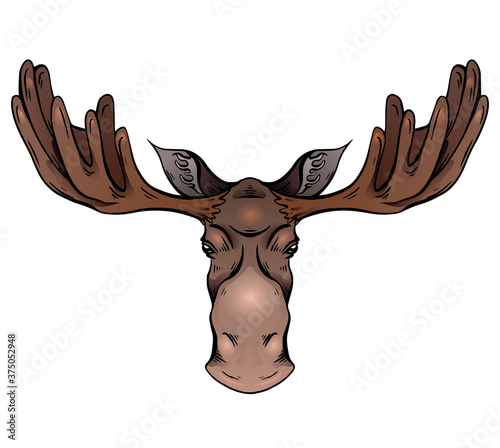 Colorful illustration of a moose head with antlers front view. Wild mammal. Vector color sketch for logos, icons, postcards and your designs.