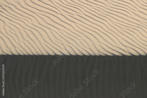 Fototapeta Naklejka Na Ścianę i Meble -  Sand Dunes at the Beach