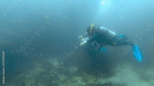 Wallpaper Mural Scuba Divers in the Ocean Torontodigital.ca