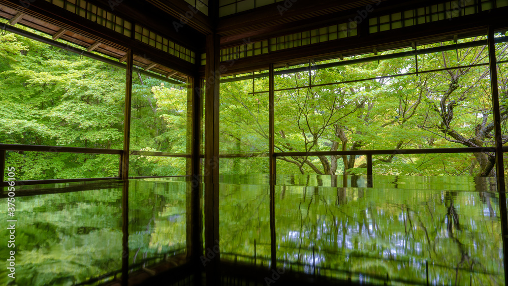 瑠璃光院 瑠璃光院