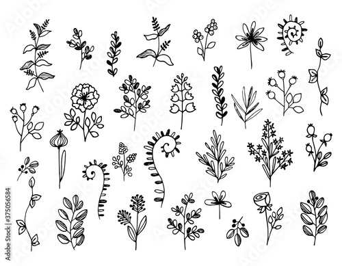 Set of twigs, grass, flowers of different shapes. Simple plant silhouettes in Doodle style, outline. Hand drawn vector illustration. © kat