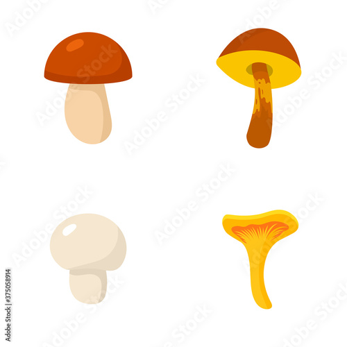 Set of edible mushrooms isolated on a white background.