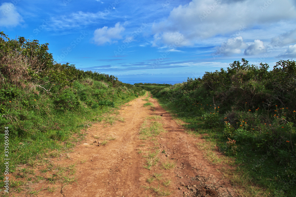 Rapa Nui. The road on Easter Island, Chile Rapa Nui. The road on Easter Island, Chile