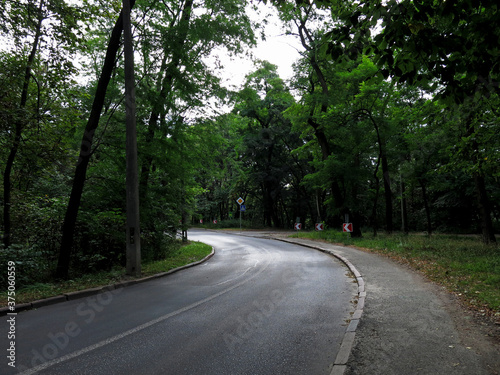  Nature landscape, road in the forest 