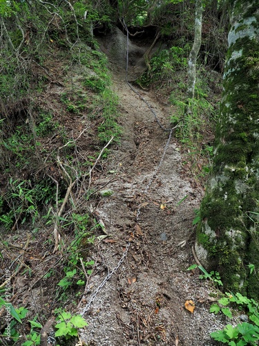 神奈川県･東海自然歩道 © K.M=KARIBITO