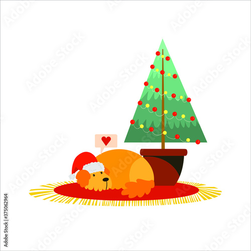 Pet puppy dog ​​in the Santa Claus hat lies under the christmas tree. Cosiness, holidays, celebration