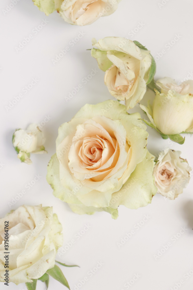 Fresh flower background, floral pattern, fresh roses flat lay photography, instagram content, different flowers wallpaper Fresh flower background, floral pattern, fresh roses flat lay photography, instagram content, different flowers wallpaper