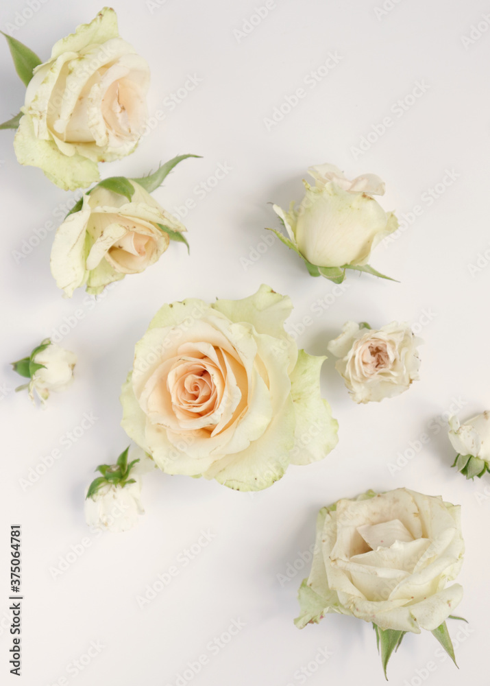 Fresh flower background, floral pattern, fresh roses flat lay photography, instagram content, different flowers wallpaper Fresh flower background, floral pattern, fresh roses flat lay photography, instagram content, different flowers wallpaper