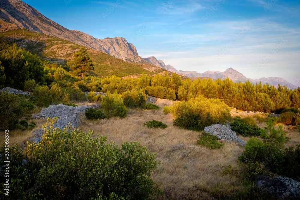 Morning view to beautiful landscape of Croatia. Summer morning with trees and mountains.