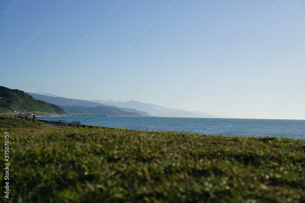 Grass near sea on sunny day with blue sky