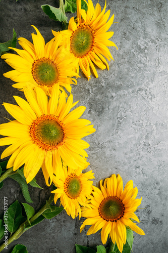Autumn background with sunflowers and copy space for your design