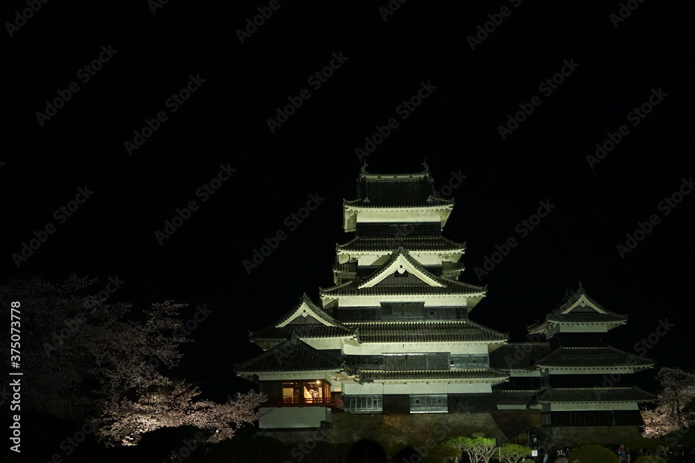 SAKURA, Cherry Blossoms at night time in Matsumoto castle, Nagano, Japan. SAKURA, Cherry Blossoms at night time in Matsumoto castle, Nagano, Japan.