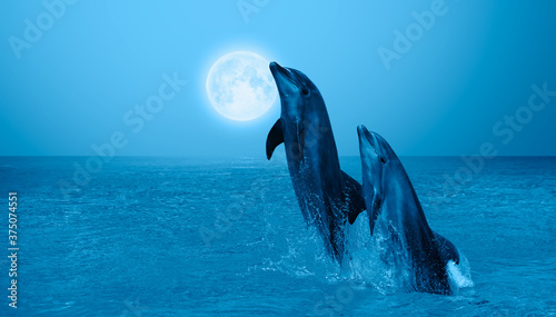 Tableau sur toile Silhoutte of dolphins jumping up from the sea with blue full moon Elements of t