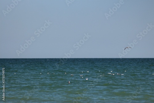 Sanzhiyka, Black Sea, Odessa Region, Ukraine
