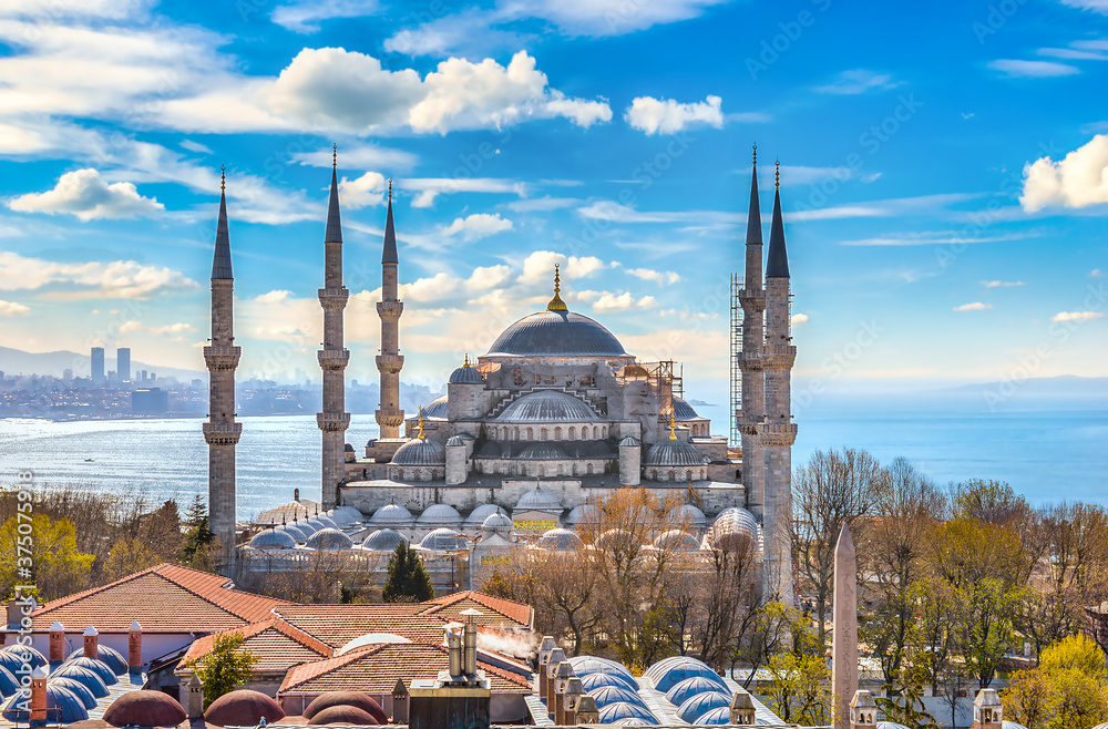 Blue Mosque in spring