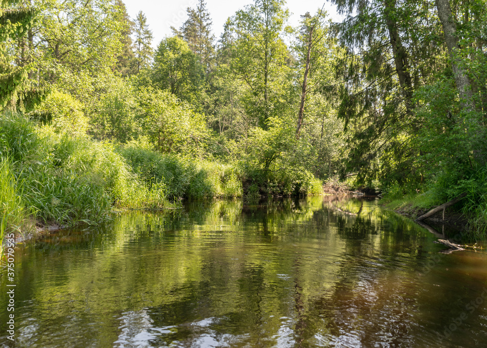 landscape with forest river reflection view, green forest river view landscape with forest river reflection view, green forest river view