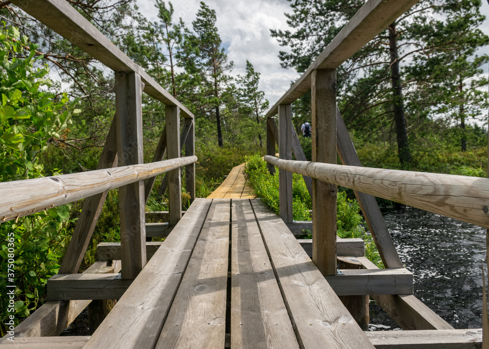 landscape with a swamp lake, a wooden pedestrian bridge, the lake's water ripples and the trees move in a strong wind