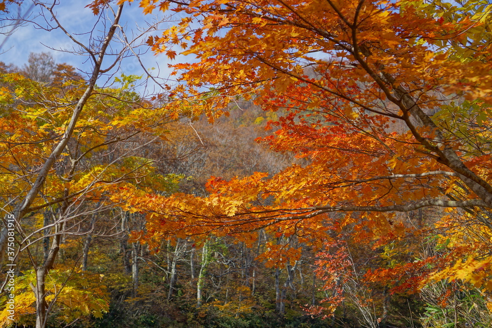 Beautiful autumn landscape in Northern Alps of Japan, Otari, Nagano. Beautiful autumn landscape in Northern Alps of Japan, Otari, Nagano.