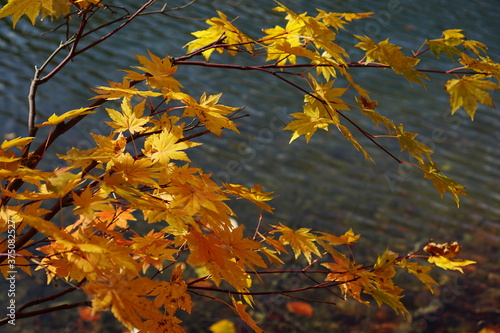 Beautiful autumn landscape in Northern Alps of Japan  Otari  Nagano