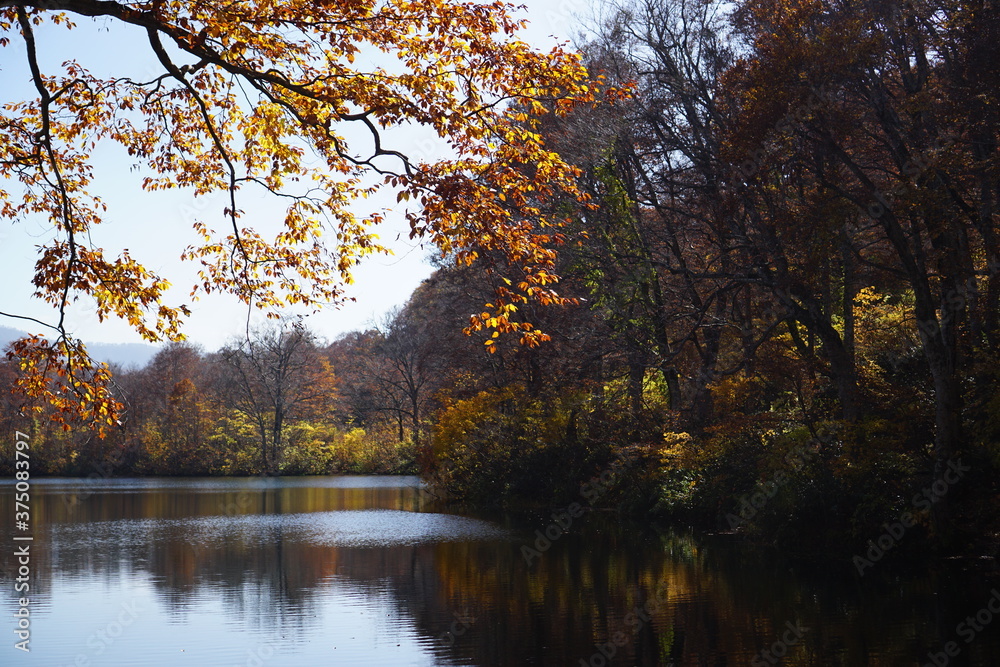 Beautiful autumn landscape in Northern Alps of Japan, Otari, Nagano