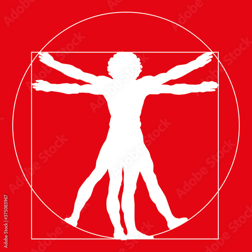 avocado, vectorStylized silhouette  of the Vitruvian man or Leonardo's man. Homo vitruviano. illustration