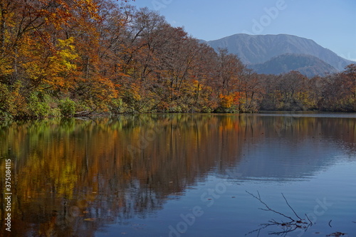 Fototapeta Naklejka Na Ścianę i Meble -  Beautiful lake reflection in autumn landscape at Northern Alps of Japan, Otari, Nagano