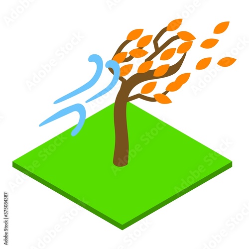Windy autumn icon. Isometric illustration of windy autumn vector icon for web