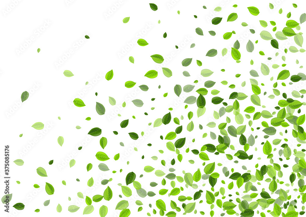 Grassy Foliage Fresh Vector Border. Wind Leaves Grassy Foliage Fresh Vector Border. Wind Leaves