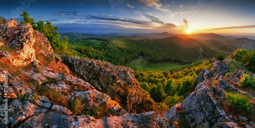 Forest and mountain at sunset - landscape panorama