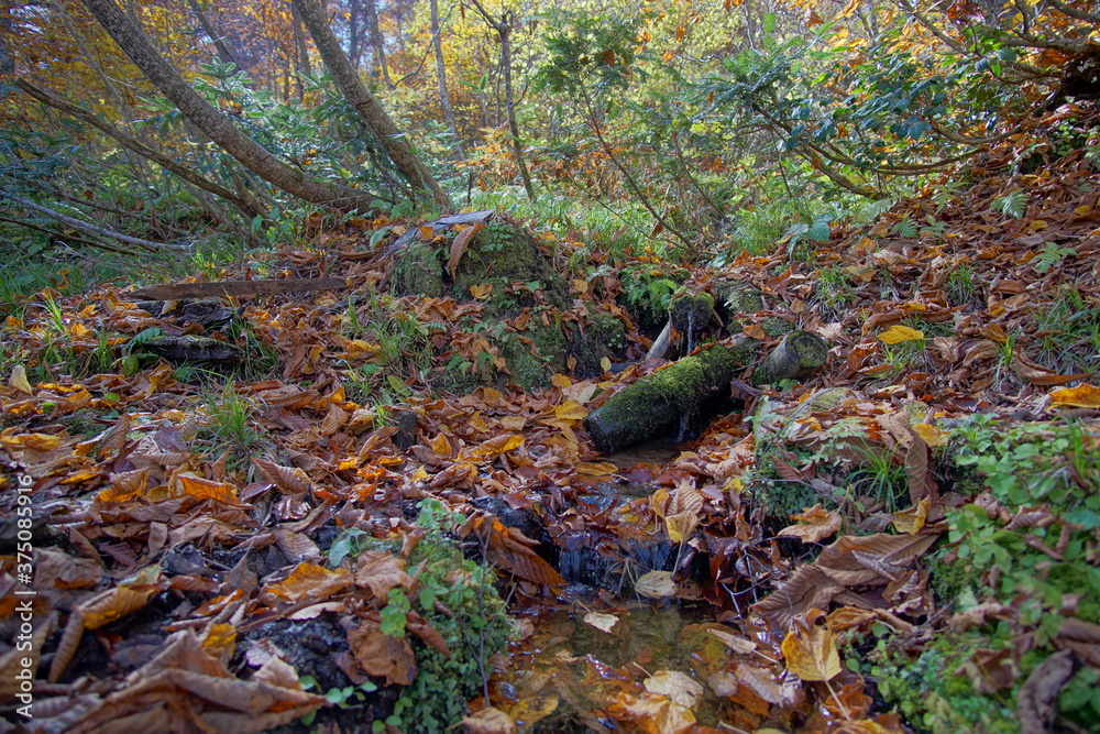 Beautiful autumn landscape in Northern Alps of Japan, Otari, Nagano Beautiful autumn landscape in Northern Alps of Japan, Otari, Nagano