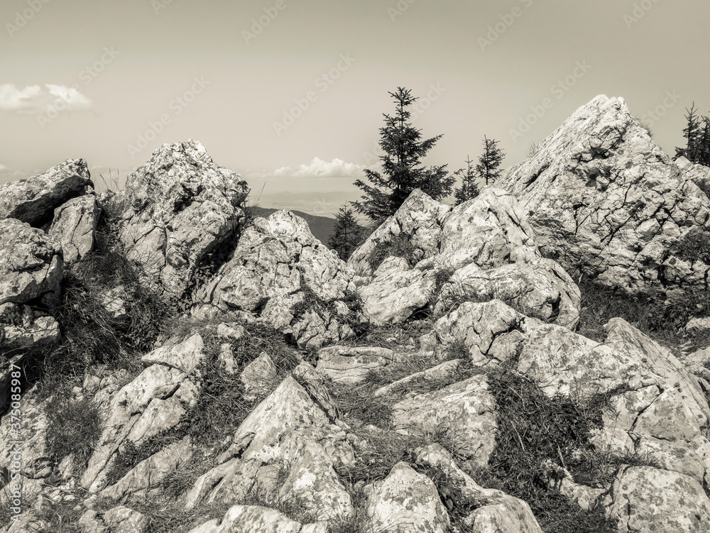 Black and white detail with a rocky mountain top in Carpathian mountains.