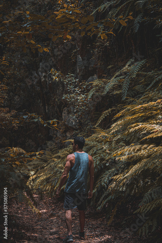 hiker in the mountains