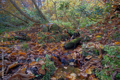 Beautiful autumn landscape in Northern Alps of Japan, Otari, Nagano photo