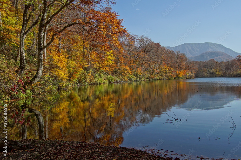 Beautiful lake reflection in autumn landscape at Northern Alps of Japan, Otari, Nagano