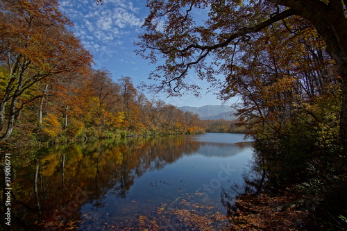 Beautiful lake reflection in autumn landscape at Northern Alps of Japan  Otari  Nagano