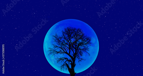 Lone dead tree with super blue moon - "Elements of this Image Furnished by NASA" © muratart