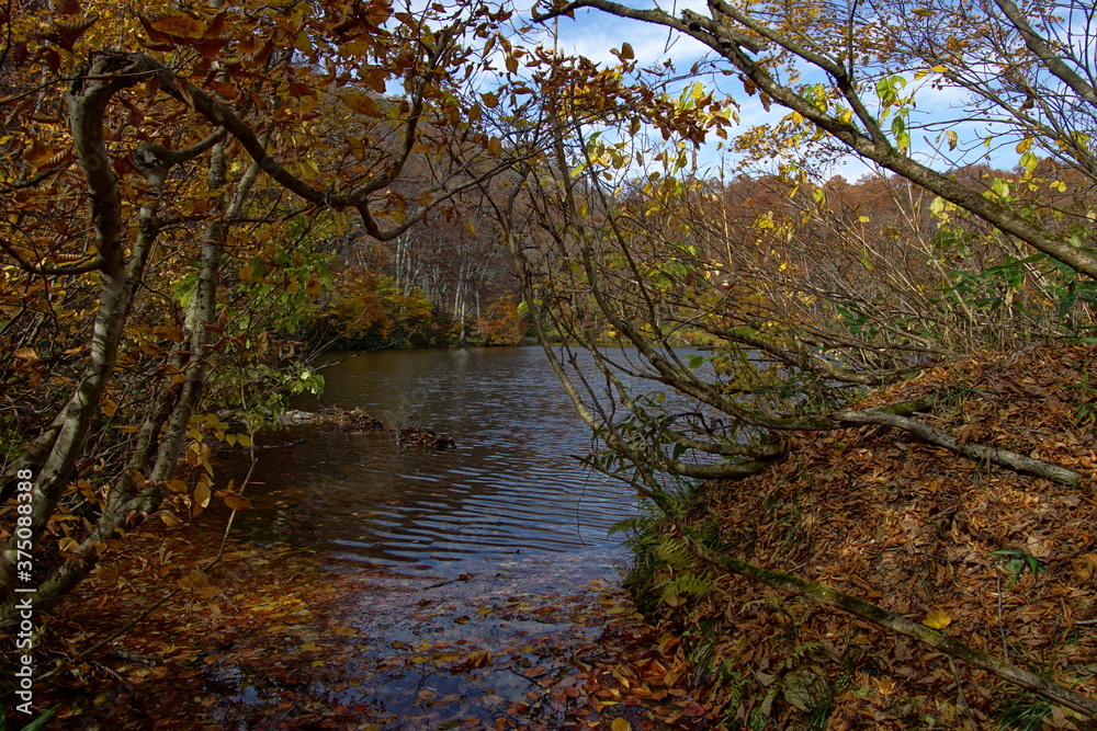 Beautiful autumn landscape in Northern Alps of Japan, Otari, Nagano.