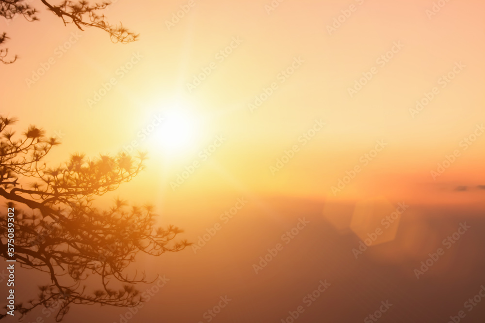 Natural background blurring warm colors and bright sunlight on tree. Bokeh or Christmas background Green Energy at sky sunny color orange light patterns plain abstract flare evening clouds blur.