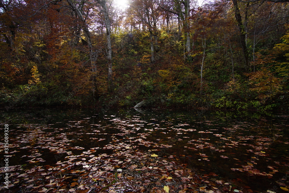 Beautiful autumn landscape in Northern Alps of Japan, Otari, Nagano. Beautiful autumn landscape in Northern Alps of Japan, Otari, Nagano.