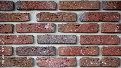 Thin Bricks