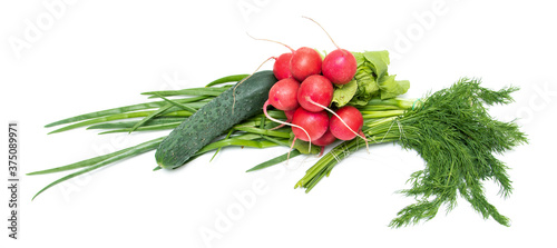 Radish, dill, green onions on a white background.
