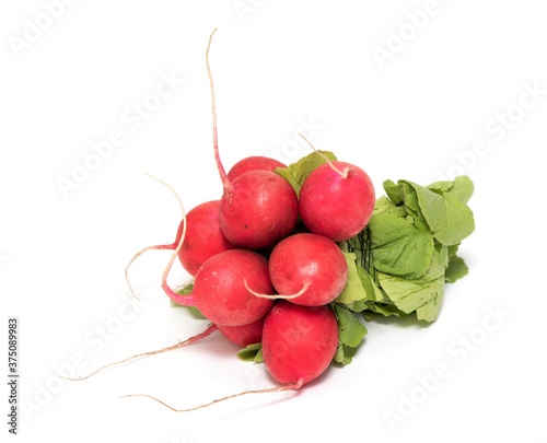 A bunch of red radishes with green tops isolated on a white background.