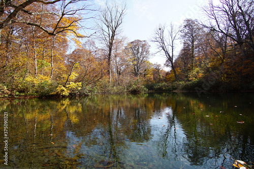 Beautiful colored trees with lake in autumn  landscape photography. Outdoor and nature in Japan