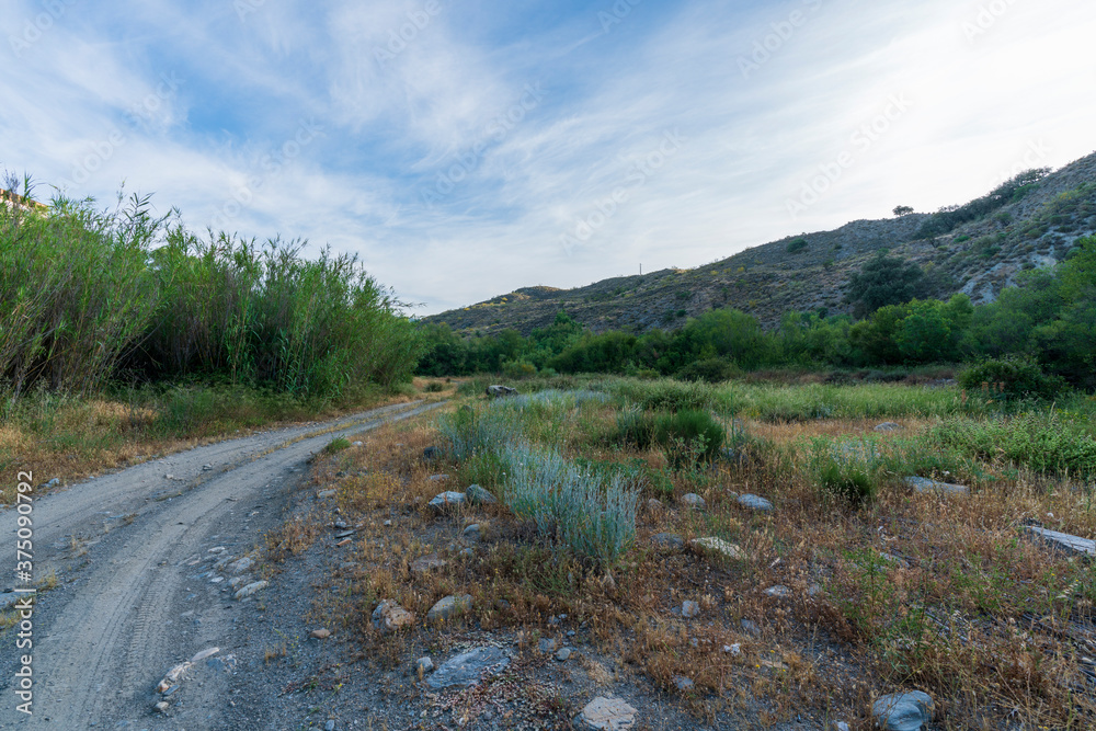 path in a mountainous landscape with vegetation path in a mountainous landscape with vegetation